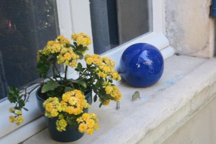 Tombe La Nefle Bed & Breakfast Avignon Eksteriør bilde