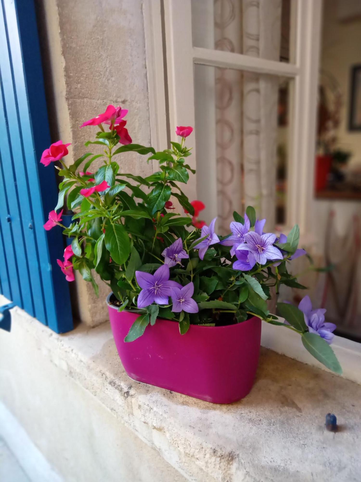 Tombe La Nefle Bed & Breakfast Avignon Eksteriør bilde